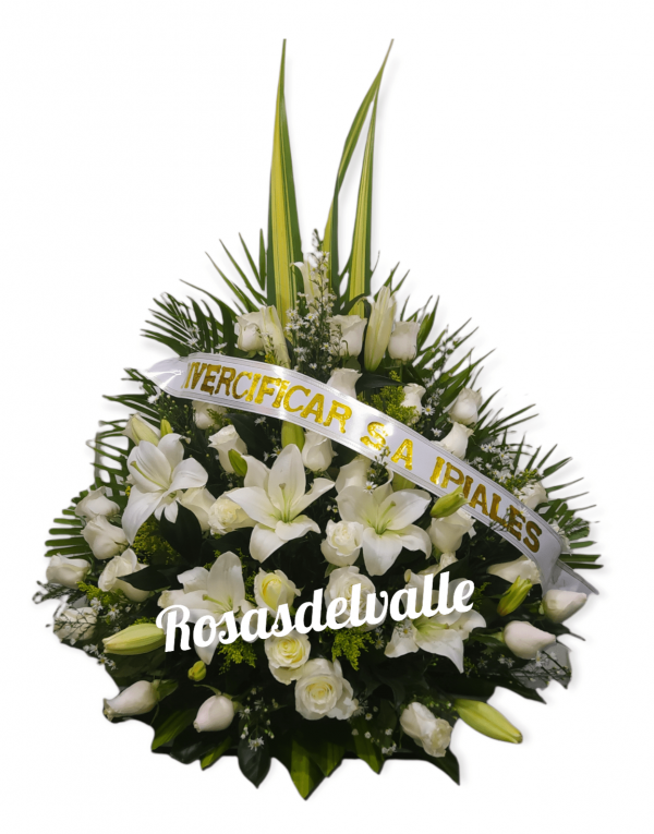 abanico 18