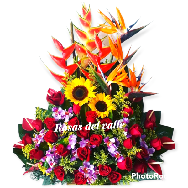 arreglo tropical grande 20